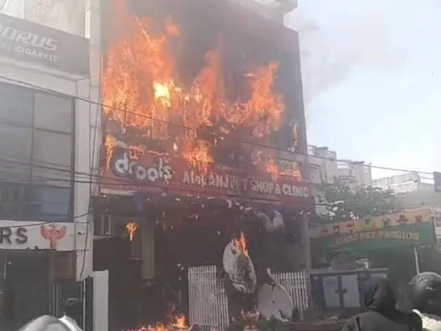 Major Fire at Lucknow Coaching Centre: Students Jump From Building, Several Injured