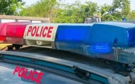 Australian NRI Sunil Sharma Murder Case: Brother, Nephew Among Three Arrested in Alleged ₹6 Crore Property Conspiracy