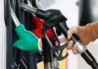 OMCs Lost Rs 18.9/Litre on Diesel, Rs 6 on Petrol in Q1: Report